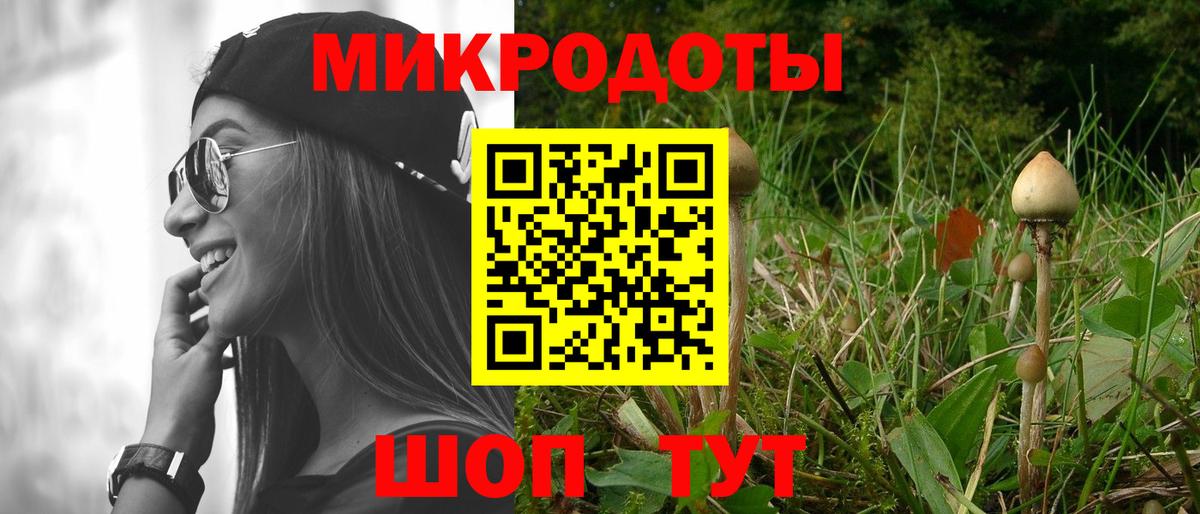 Галлюциногенные грибы мухоморы Камышин