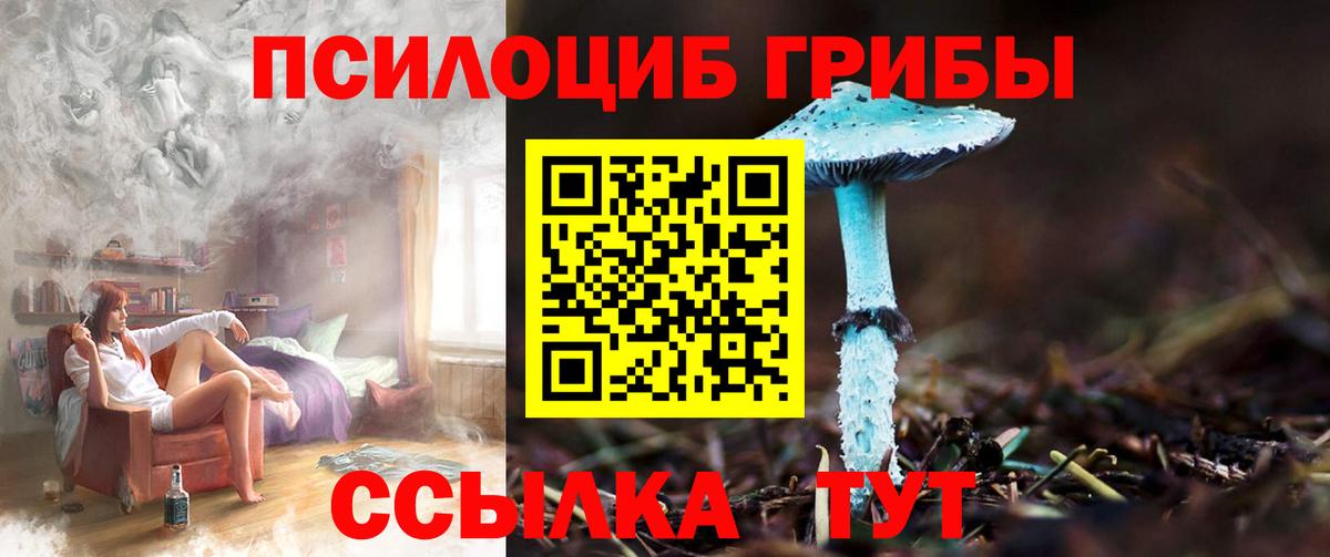 Псилоцибиновые грибы GOLDEN TEACHER  Вход с VPN  Камышин  Галлюциногенные грибы Psilocybine cubensis 