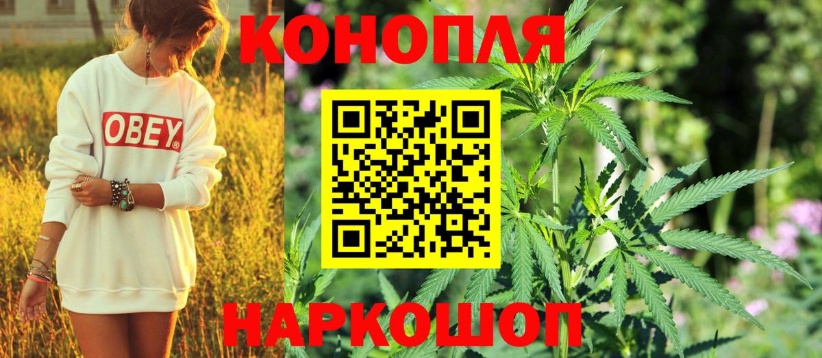 Канабис LSD WEED  Марихуана сатива  Камышин  Бошки марихуана Amnesia  Каннабис LSD WEED  Вход с VPN 